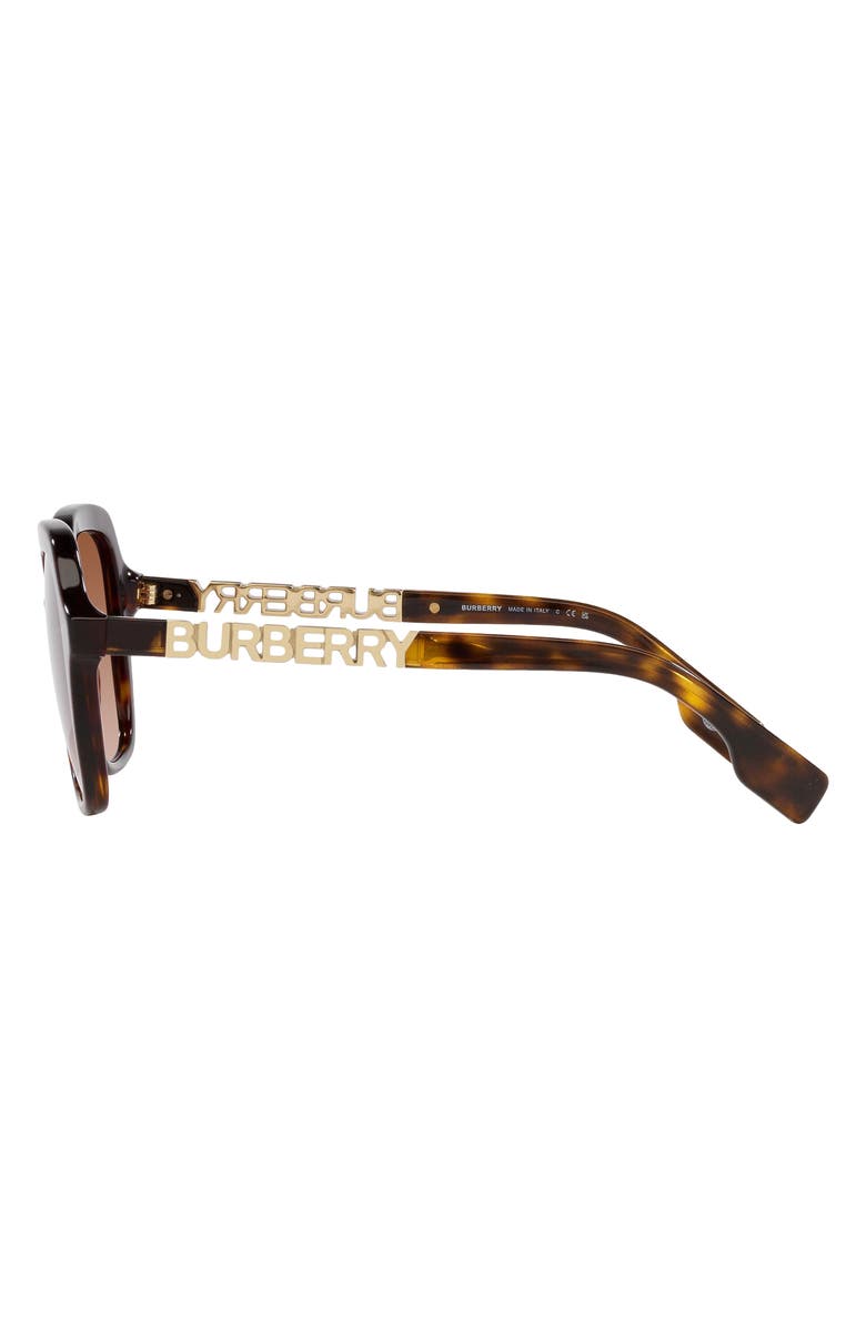 Burberry Joni 55mm Square Sunglasses, Alternate, color, Dark Havana