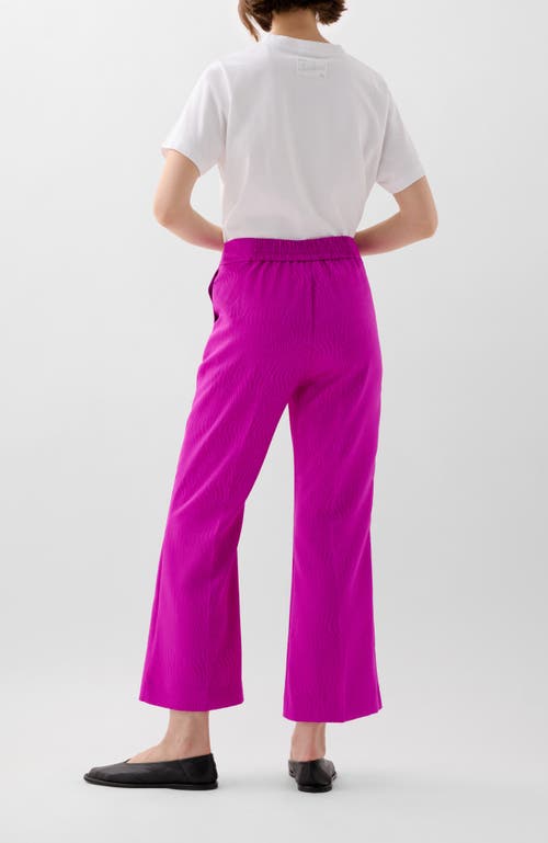 Scalpers Nujac Pant In Pink