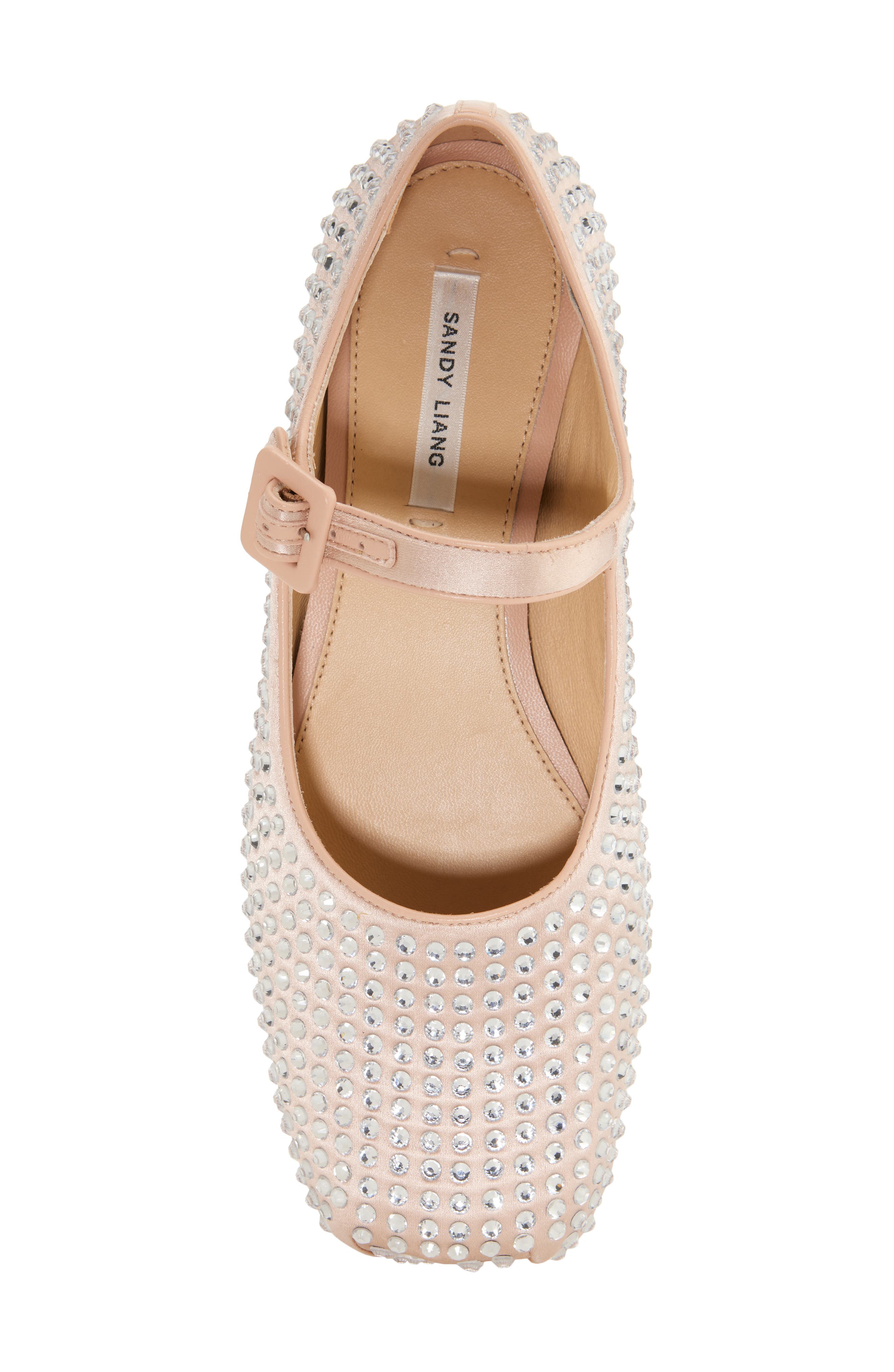 Pointe Crystal Embellished Mary Jane Flat, Alternate, color, BALLET