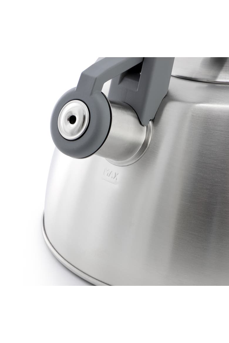 Beauford 2.8 Quart Stainless Steel Whistling Tea Kettle, Alternate, color, Silver