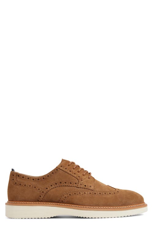 Brooks Brothers Morganville Brogue Derby In Brown