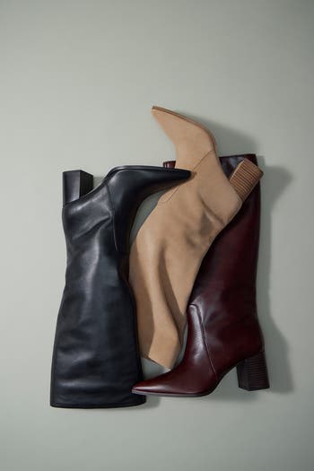 Lumina Pointed Toe Boot