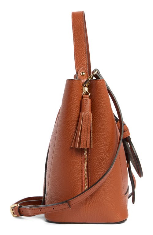 Valentino By Mario Valentino Callie Medallion Vlogo Leather Bucket Bag In Brown