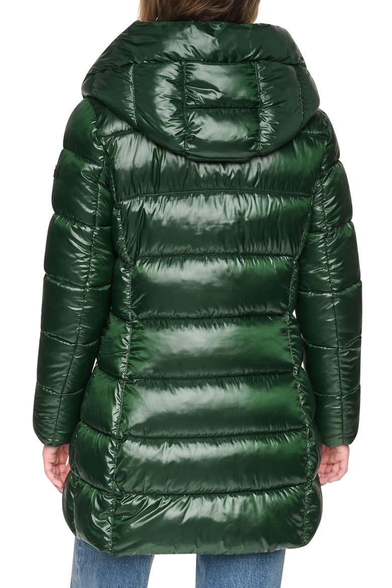 Water Resistant Hooded Puffer Coat with Bib, Alternate, color, HUNTER
