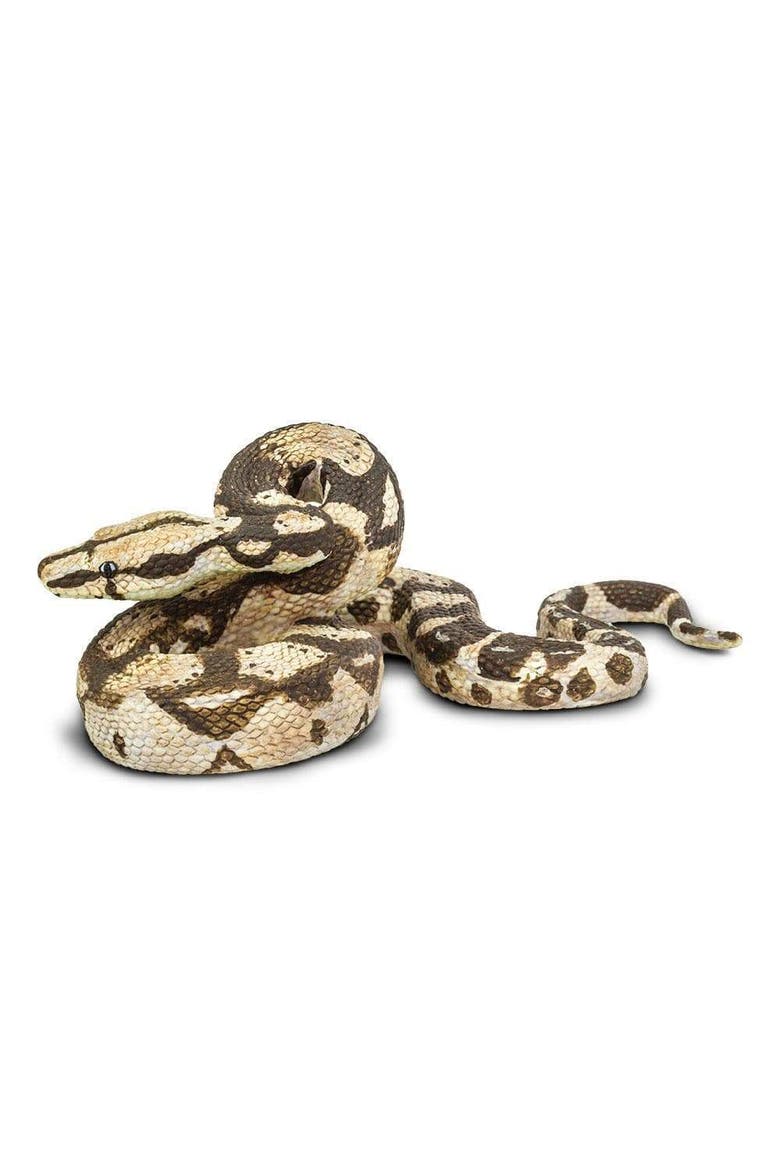 Boa Constrictor Toy, Main, color, No Color