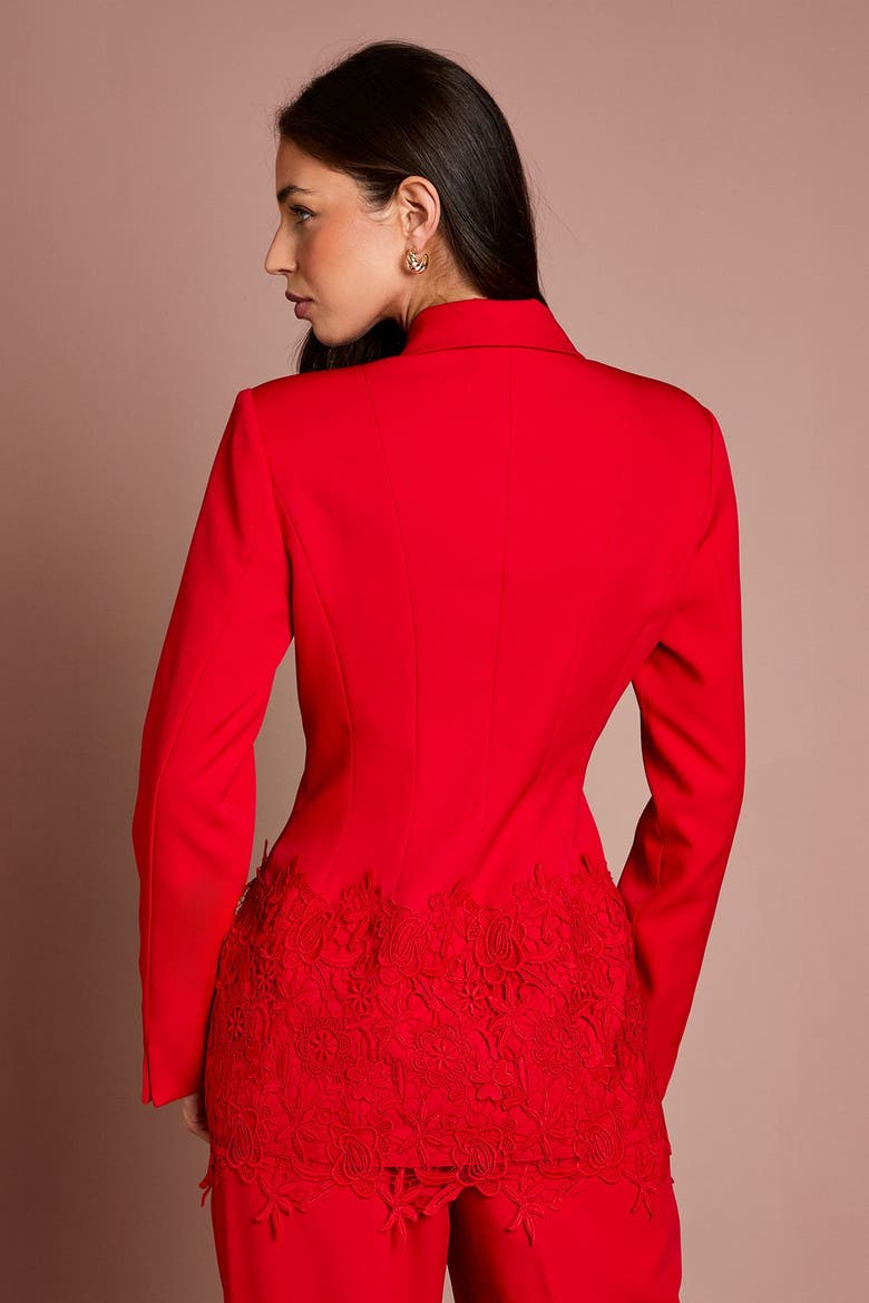 Embroidered Single Breasted Blazer, Alternate, color, Red