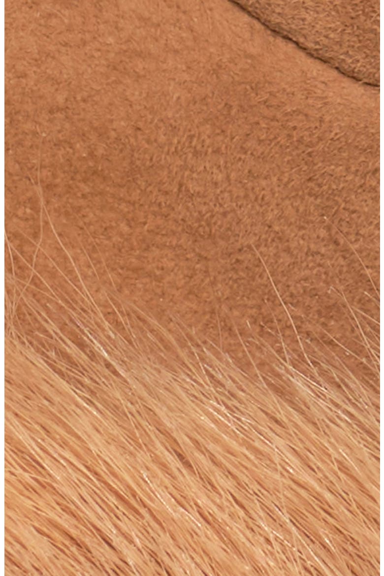 Toscana Trim Suede Gloves, Alternate, color, TOBACCO