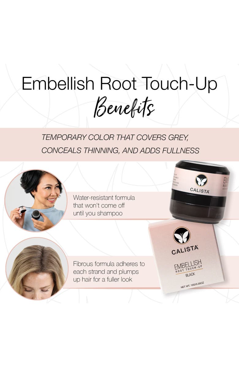 CALISTA Embellish Root Touch-Up, Alternate, color, Salt And Pepper