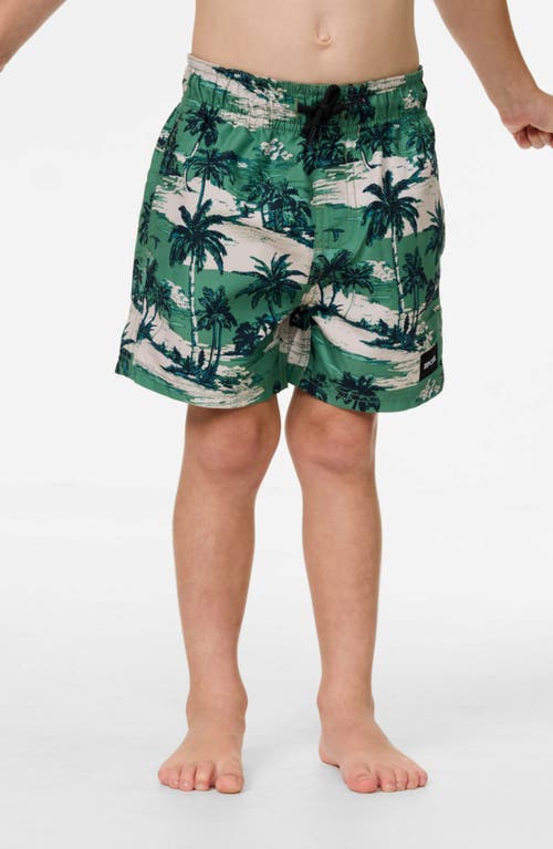 Rip Curl Kids' Dreamers Volley Shorts In Green