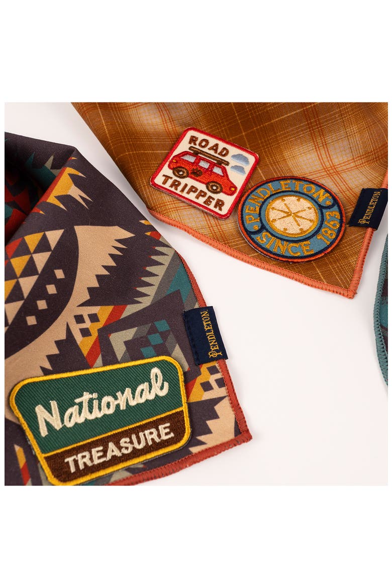 Road Tripper Pet Merit Badges, Alternate, color, ROAD TRIPPER