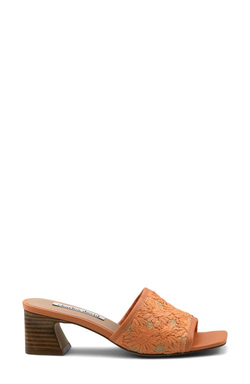 Charles David Raffi Slide Sandal In Coral