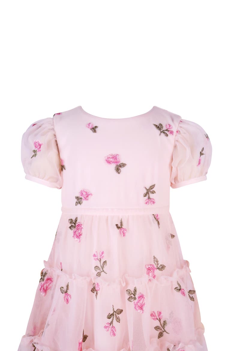 Embroidered Puff Sleeve Party Dress, Alternate, color, BLUSH