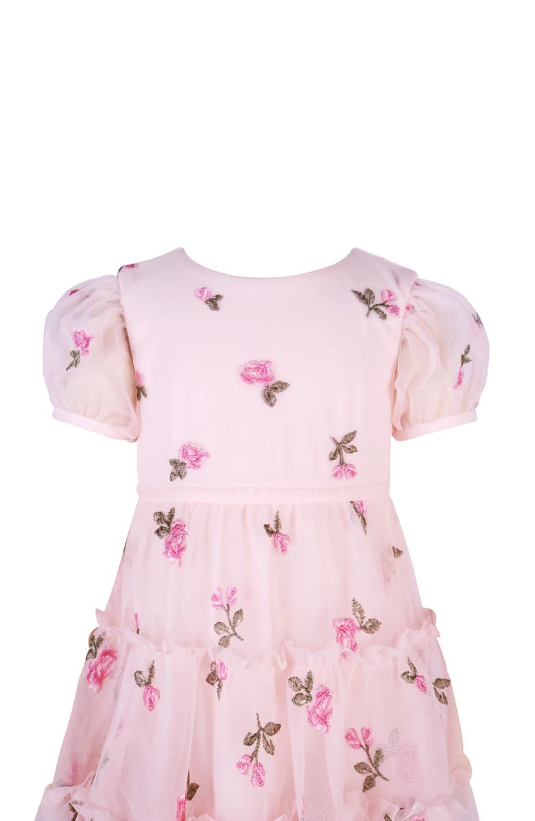 Zunie Embroidered Puff Sleeve Party Dress, Alternate, color, Blush