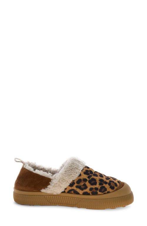 Voile Blanche Pan Genuine Shearling Loafer In Brown