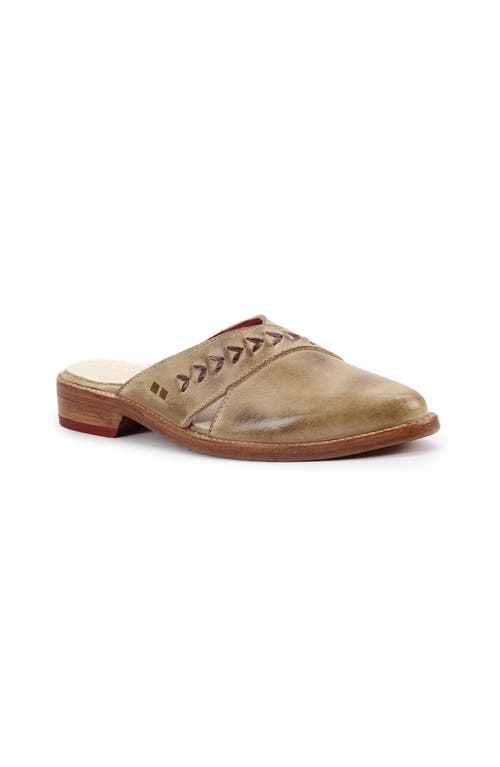 Bed Stu Jockey Pointed-toe Mule In Animal Print