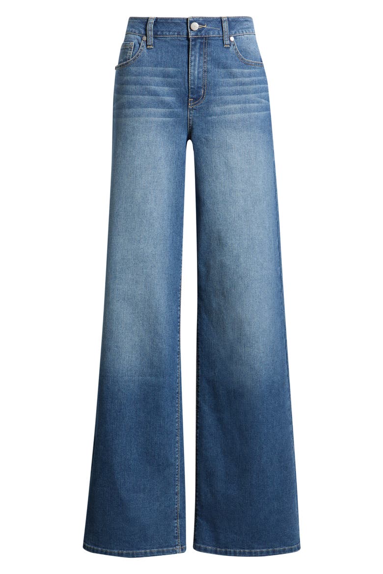 Low Rise Wide Leg Jeans, Main, color, ACE