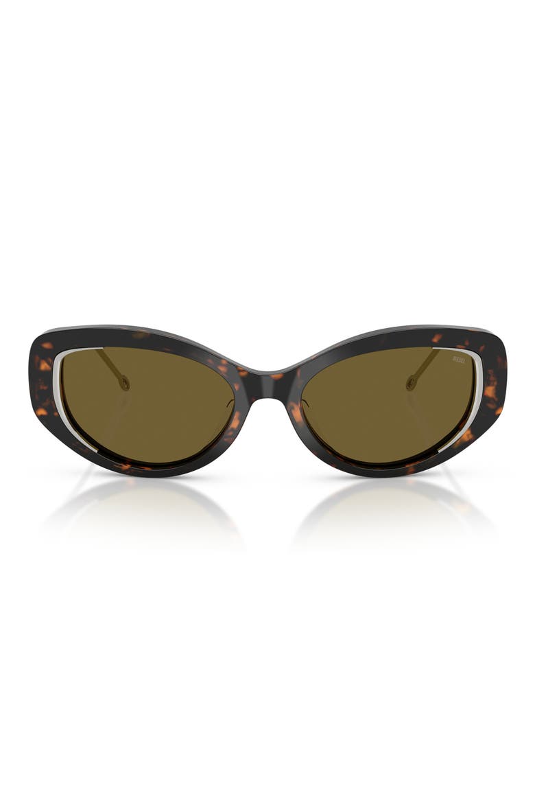 Geck-D 54mm Oval Sunglasses, Main, color, SHINY HAVANA/ BROWN