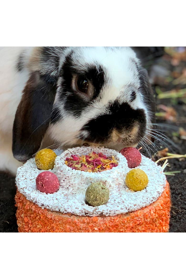 Celebration Cake, 4 Pack Pet Treats, Alternate, color, Multicolored
