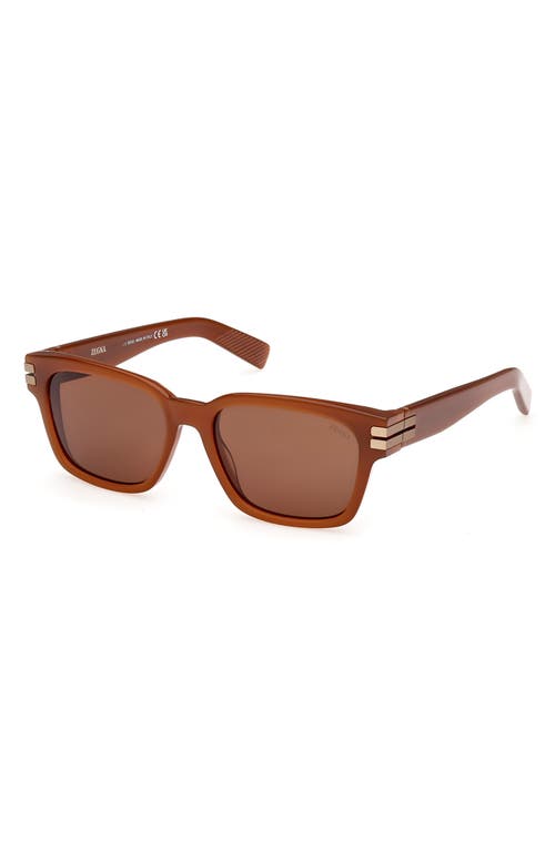Zegna 55mm Polarized Rectangular Sunglasses In Brown