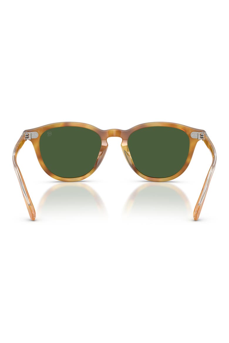 53mm Phantos Sunglasses, Alternate, color, TORTOISE BROWN / BOTTLE GREEN