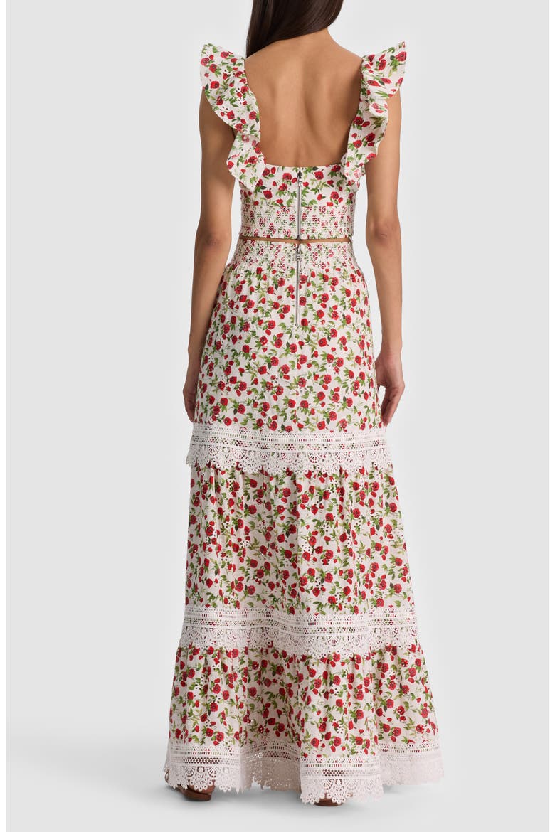 Reise Embroidered Tiered Maxi Skirt, Alternate, color, SUMMER POPPY SM