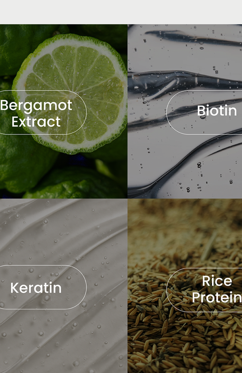 Forte Series Volumizing Duo Shampoo & Conditioner Set In Multi