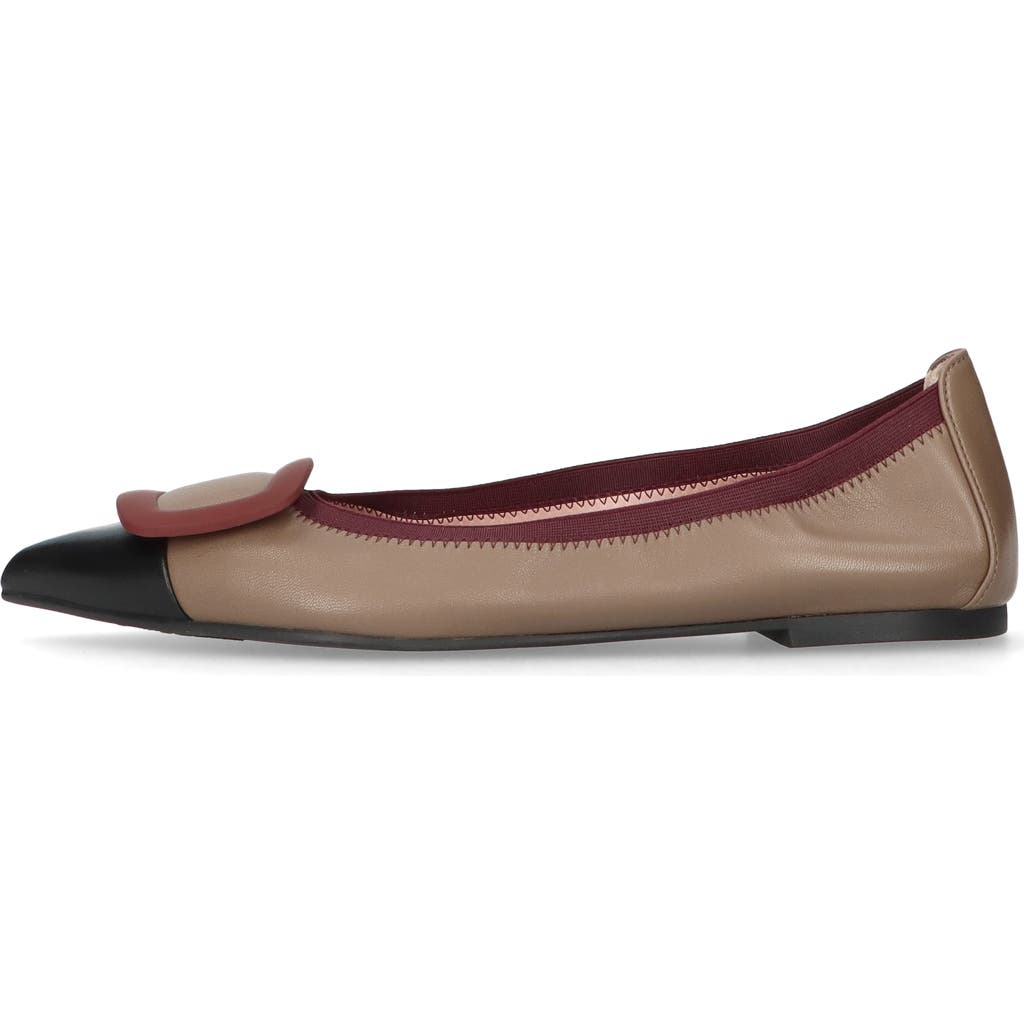 Pretty Ballerinas Pointed Toe Elasticated Ballet Flat In Brown