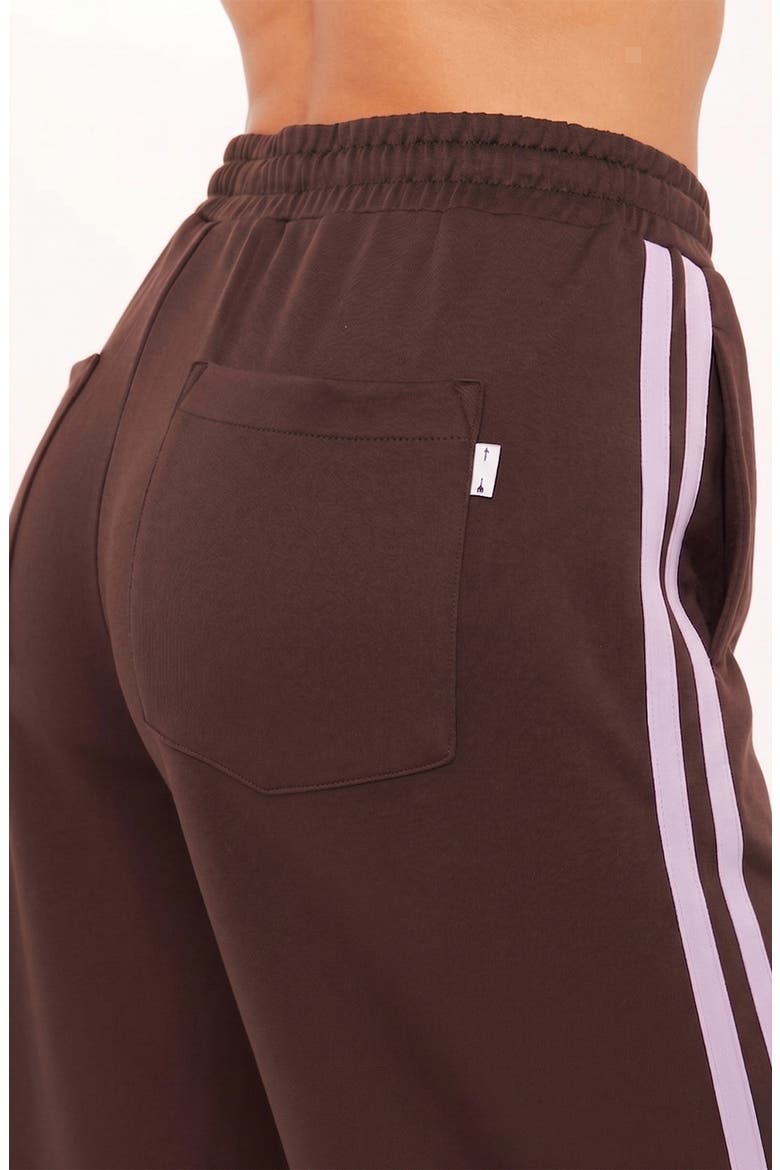 Roma Wide Leg Stripe Pants, Alternate, color, BROWN
