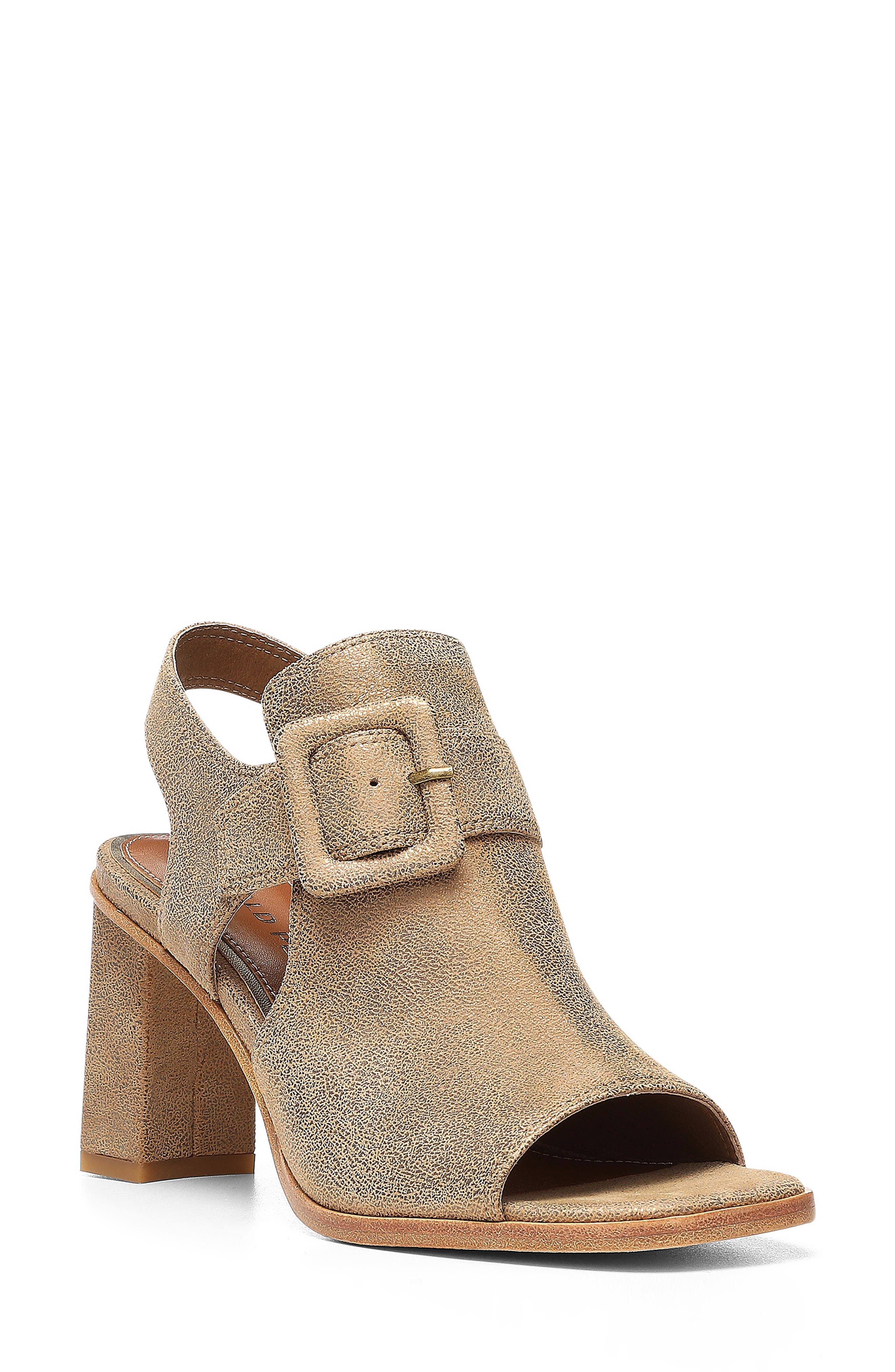 Donald Pliner Irwin Buckle Cutout Sandal, Main, color, 