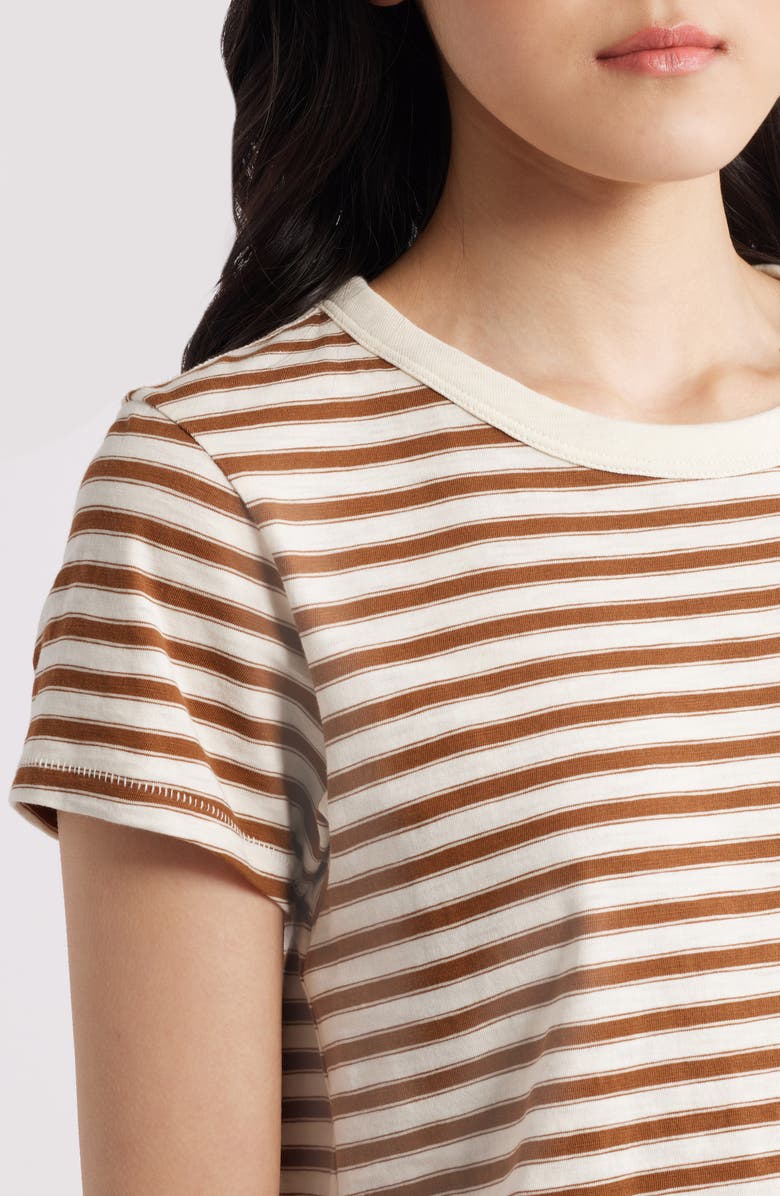 rag & bone The Slub Stripe T-Shirt, Alternate, color, Wrbrm