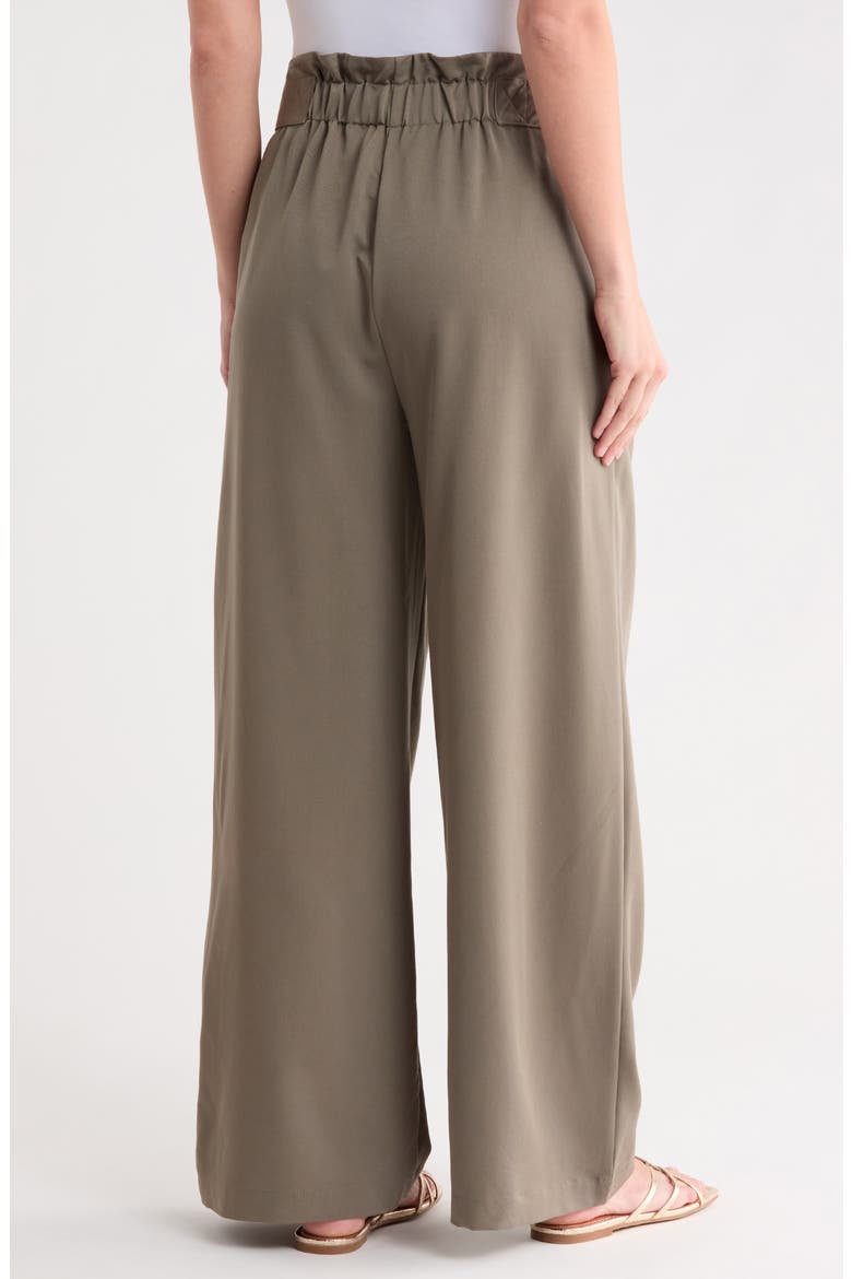 Pleated Wide Leg Pants, Alternate, color, LIGHT OLIVE