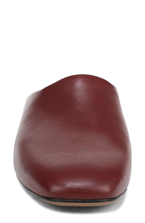 Franco Sarto Daley Mule In Burgundy