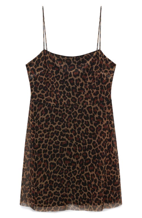 Mango Leopard Print Mesh Minidress In Brown