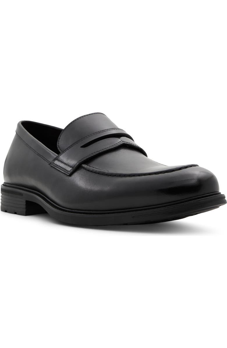 ALDO Emerit Penny Loafer, Main, color,