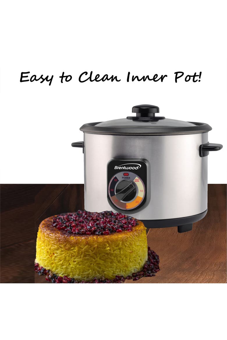 10-Cup Stainless Steel Crunchy Persian Rice Cooker, Alternate, color, Silver