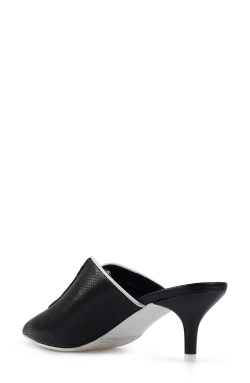 Zigi Contend Mule In Black