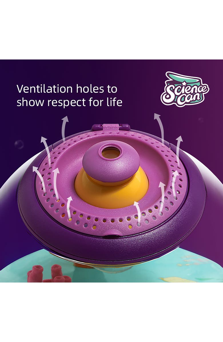 Science Can Insect & Fish Viewer Life Sciences Experiment Toy, Alternate, color, Multicolored