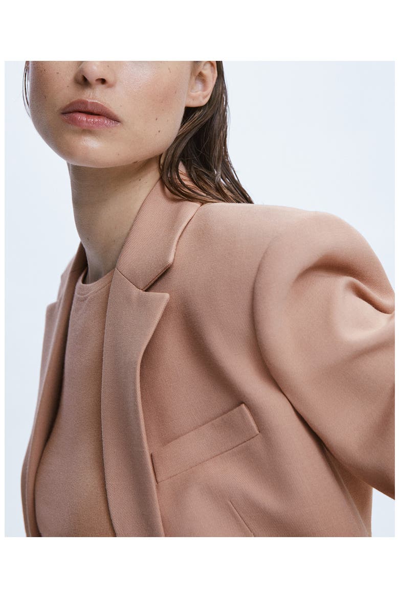 Suit Jacket, Alternate, color, PALE PINK