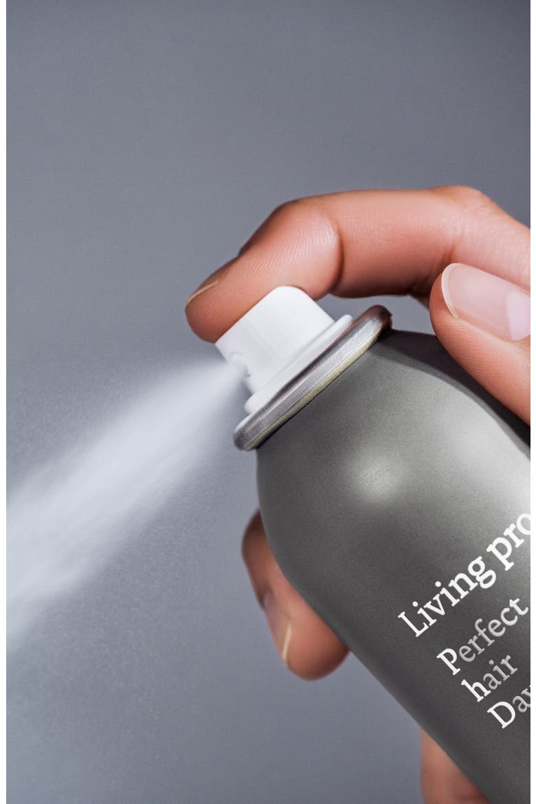 Hit Refresh Perfect hair Day™ Dry Shampoo Duo $60 Value, Alternate, color, NO COLOR