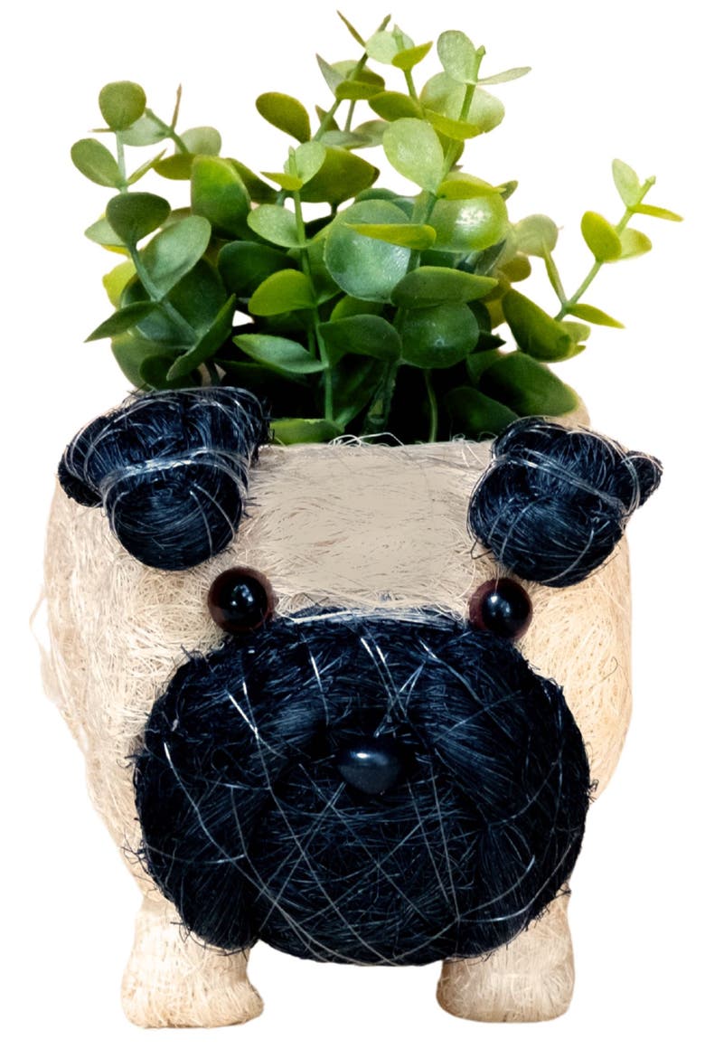 Baby Pug Handwoven Planter, Alternate, color, OFF WHITE / BLACK