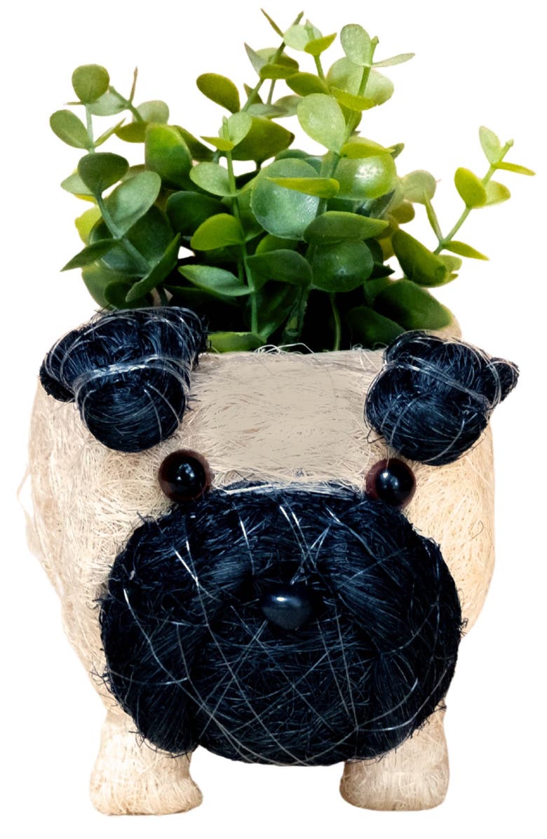 LIKHA Baby Pug Handwoven Planter, Alternate, color, Off White / Black