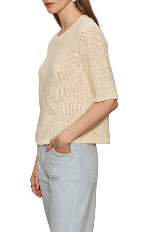 Sanctuary Tape Yarn Open Stitch Cotton Blend Sweater In Brown