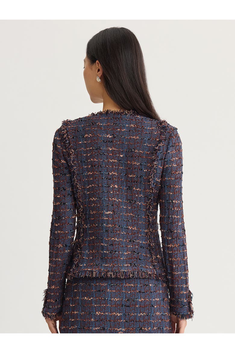 Tailored Fringe Trim Ribbon Knit Jacket, Alternate, color, Mahogany/Stardust/Charmeuse