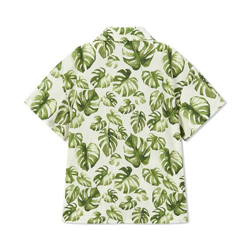 Milkbarn Collar Button-up Shirt And Shorts Set