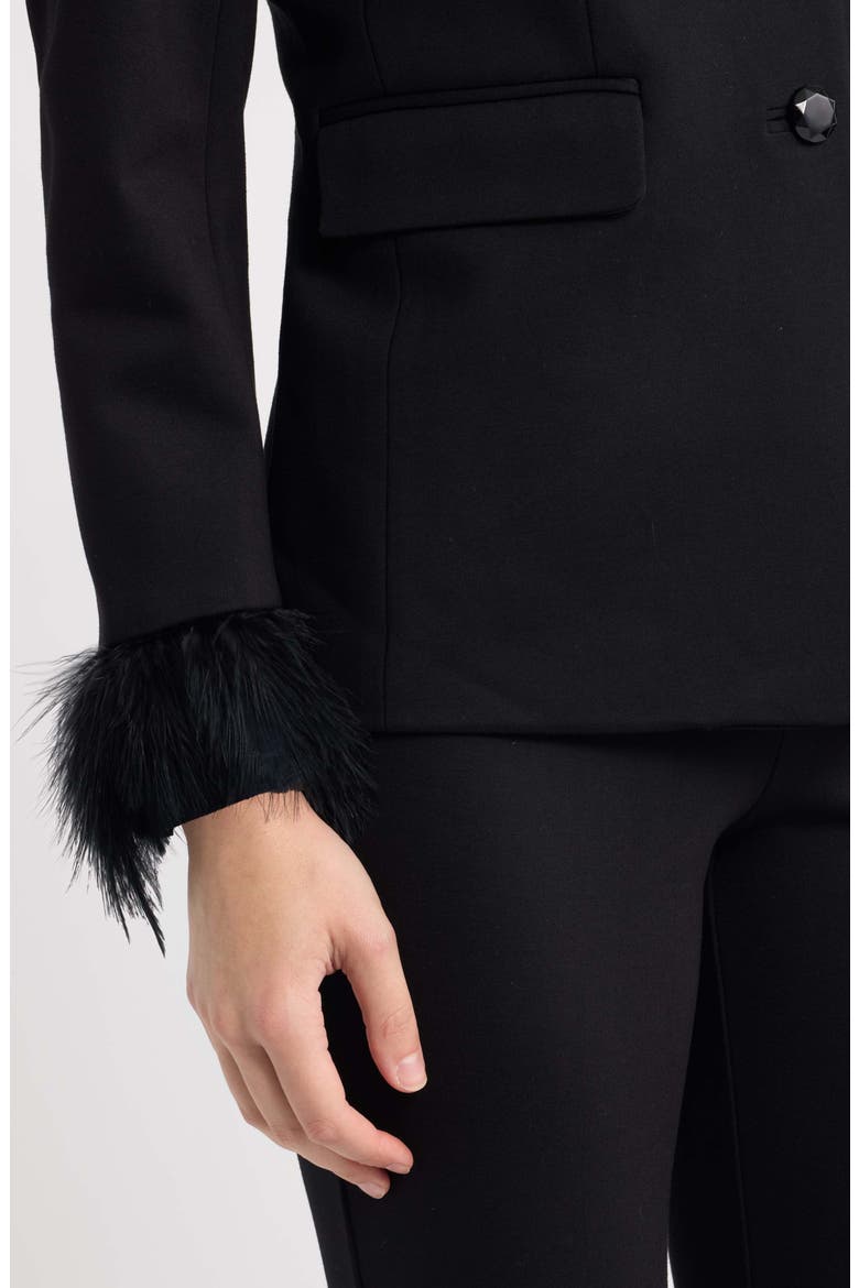 Feather Cuffed Blazer, Alternate, color, ANNE BLACK