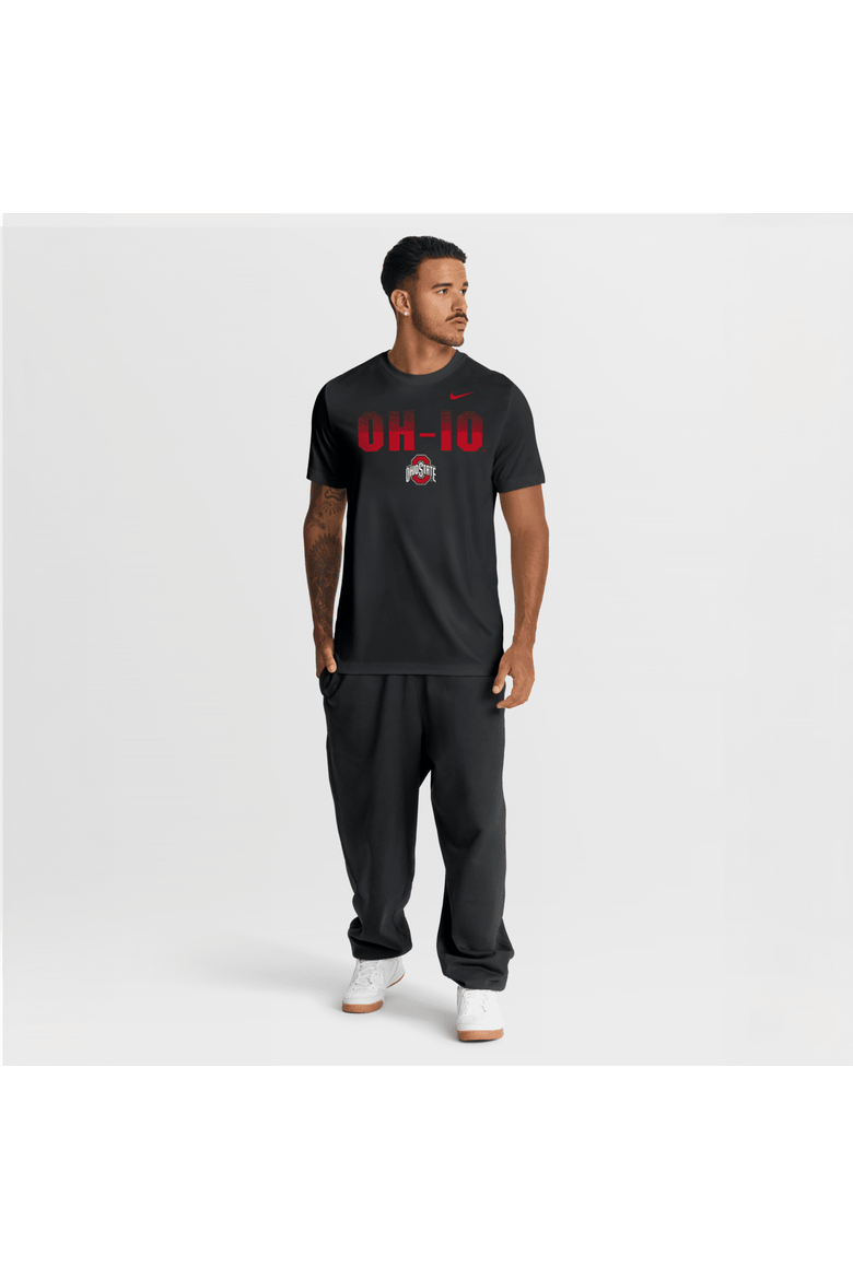 Men's Nike Black Ohio State Buckeyes Primetime Legend Kinetic Mantra Dri-FIT T-Shirt, Alternate, color, Black