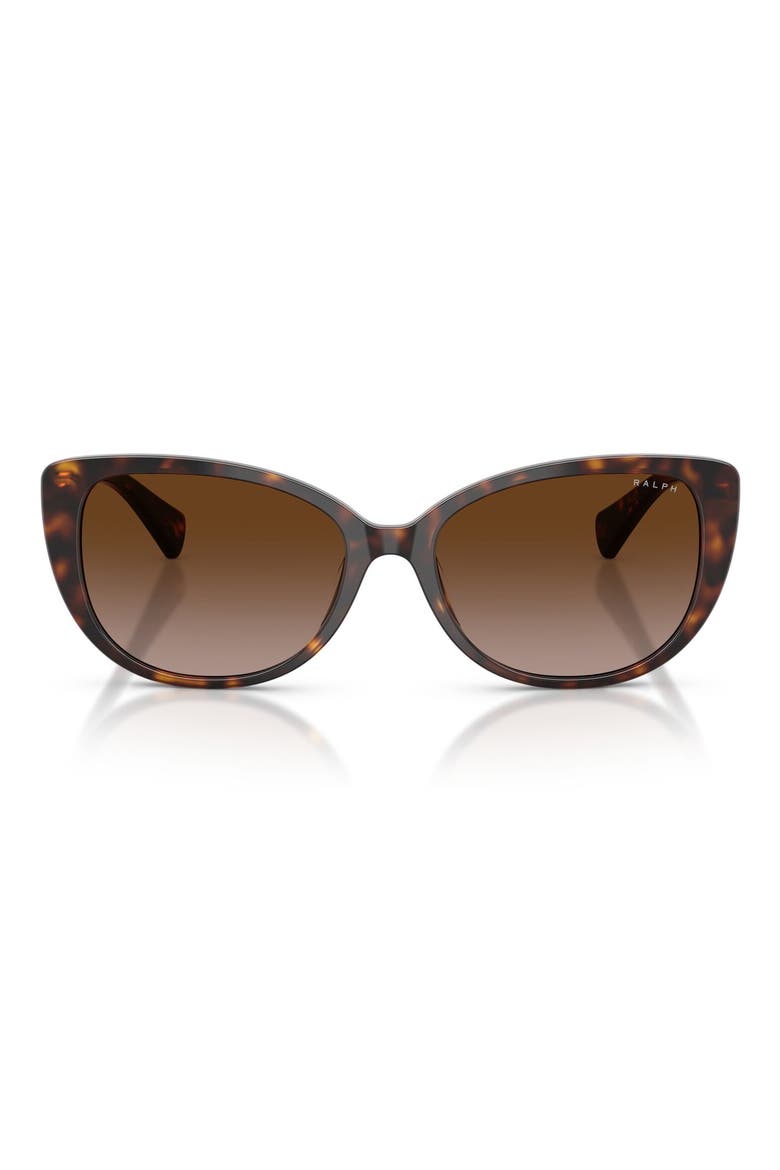 56mm Gradient Butterfly Sunglasses, Main, color, SHINY DARK HAVANA / BROWN