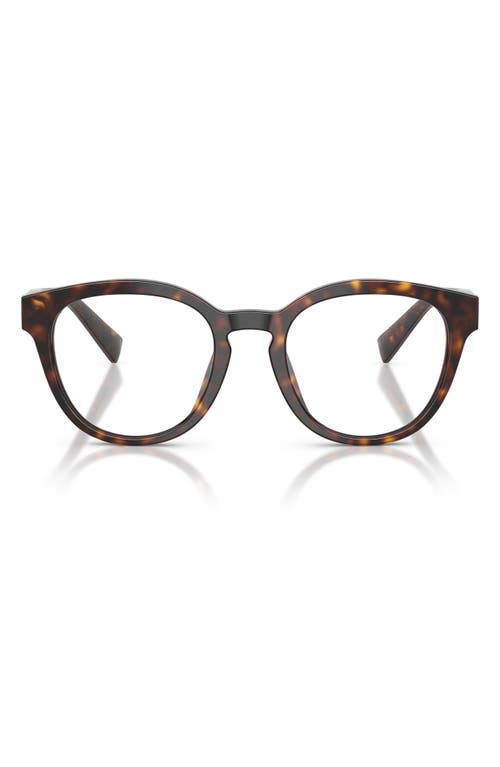 Dolce & Gabbana Dolce&gabbana 52mm Polarized Phantos Optical Glasses In Havana