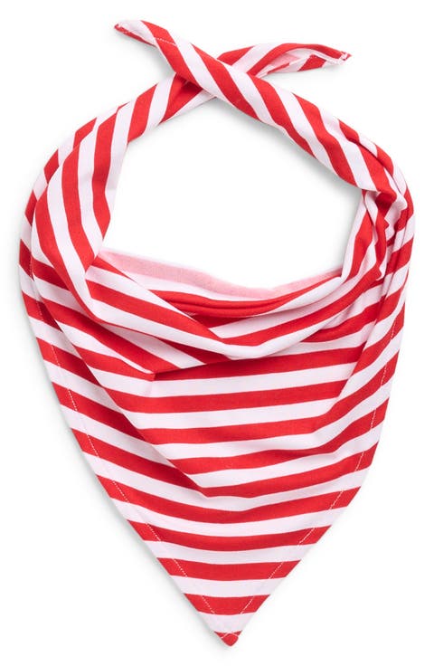 Matching Family Stripe Print Pet Bandana