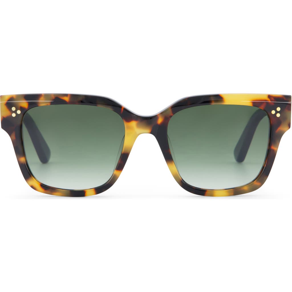TOMS Madison 53mm Square Sunglasses in Blonde Tortoise/Deep Olive